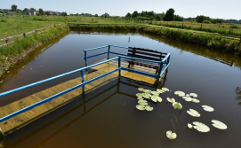 Приватна садиба Під виноградом