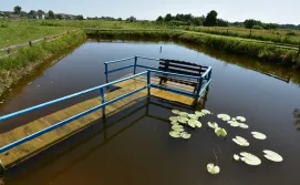 Приватна садиба Під виноградом