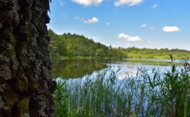 База відпочинку озеро Святе