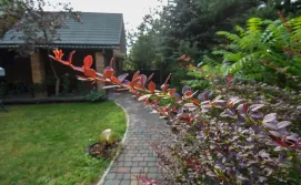 Гостьовий будинок Затишний двір