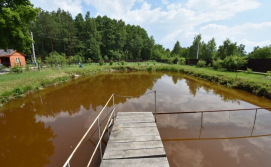 Комплекс для відпочинку Дубовий гай