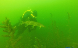 Дайвинг на Свитязе