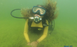 Дайвинг на Свитязе