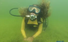 Дайвинг на Свитязе