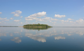 Приватний сектор Дубок