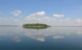 Приватний сектор Дубок