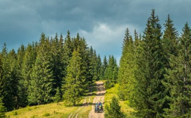 Катання на джипах у Верховині