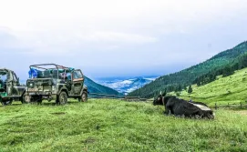 Поїздки (Екскурсії) на УАЗ по Верховині