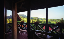 Котедж 12 місяців - Травень