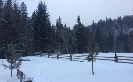 Частная усадьба Урочище Луг