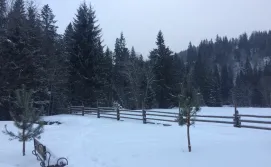 Частная усадьба Урочище Луг