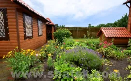 Будинок Сосновий затишок