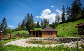 Приватна садиба Лісовий затишок