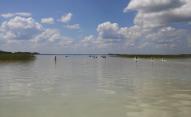 Котедж Надвітна