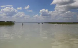 Котедж Надвітна