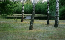 Будинок Сосновий гай