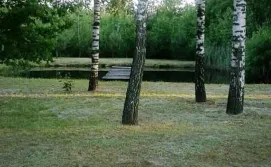 Будинок Сосновий гай