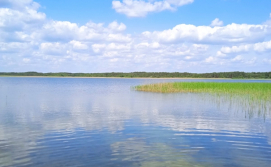 Гостьовий будинок Озеро Пісочне, с. Кримне