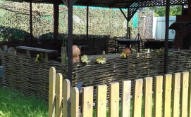 Гостинний двір Альтанка №5