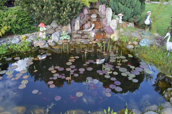 Котедж з басейном - декоративне водойма з рибками