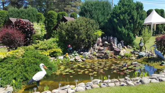 Котедж з басейном