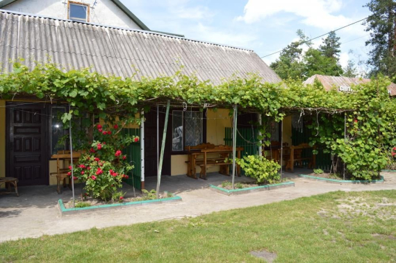 Чотиримісний економ Чотиримісний економ