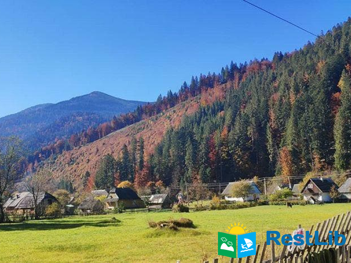 Пилипець Пилипець